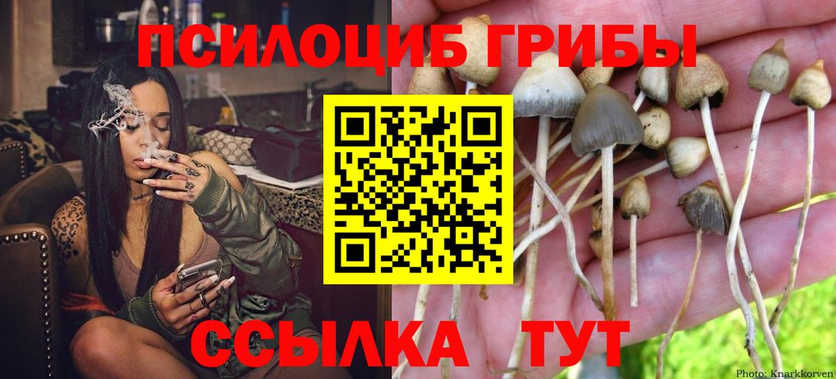 Псилоцибиновые грибы прущие грибы  Вход с VPN  Сосновый Бор 